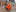 De Bund bouwupdate